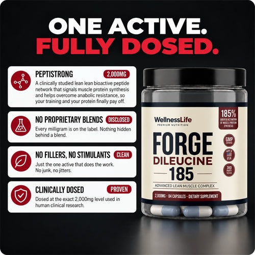 FORGE 185 muscle protein synthesis support, 2,000mg per serving